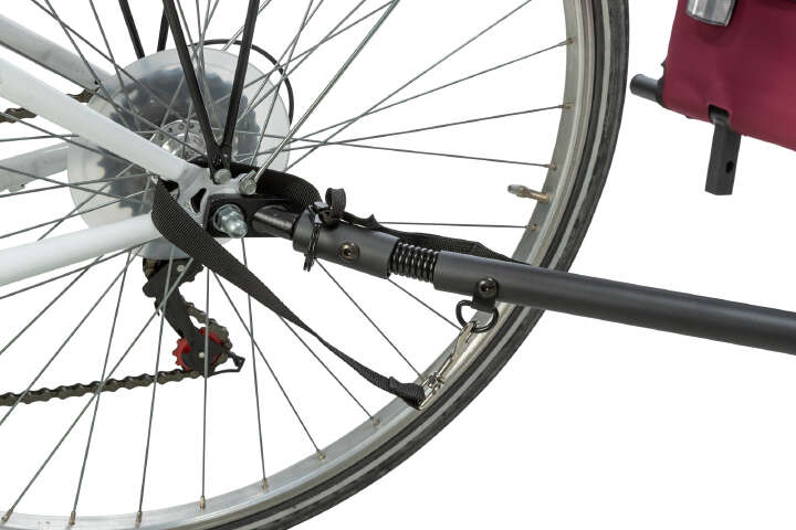 TRIXIE Fahrrad-Anhänger für Hunde